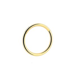 Bisagra estéril para piercing RING de titanio PVD Oro