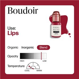 PERMA BLEND Tinta LUXE Boudoir 15ml