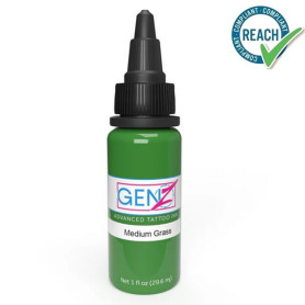 Encre INTENZE Medium Grass 30ML