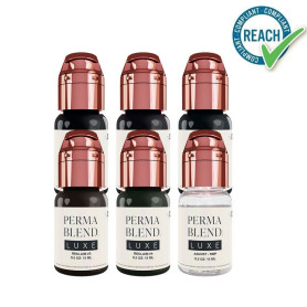 Kit Encre PERMA BLEND LUXE Stevey G. Reclaim