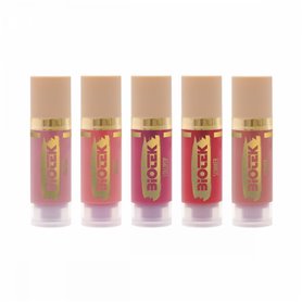 Kit de pigmentos labiales - BIOTEK