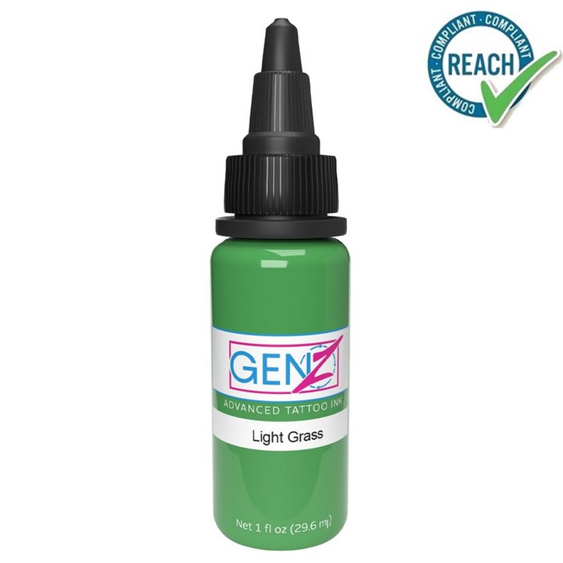 INTENZE Tinta Light Grass 30ML